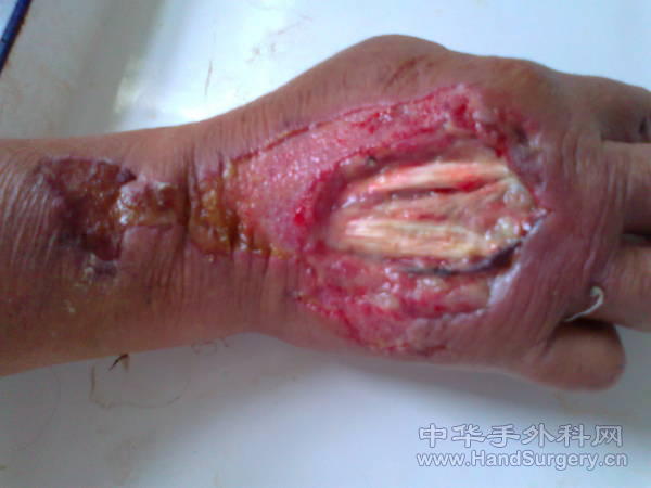 照片0219.jpg
