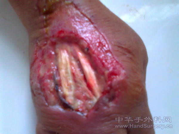 照片0220.jpg