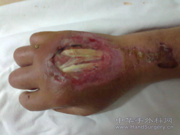 照片0223.jpg