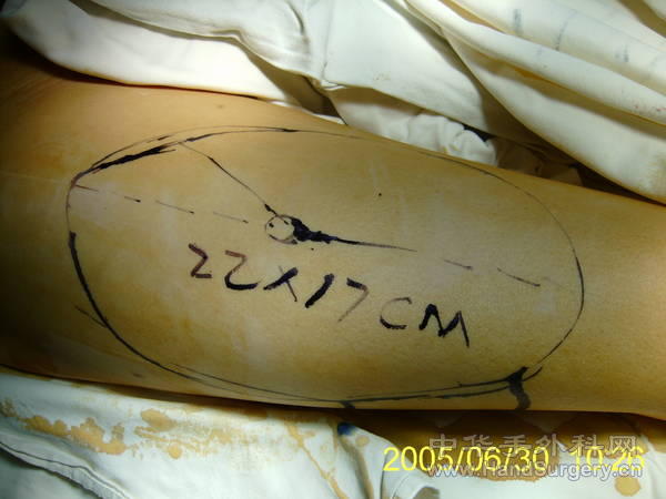 S5300169.JPG
