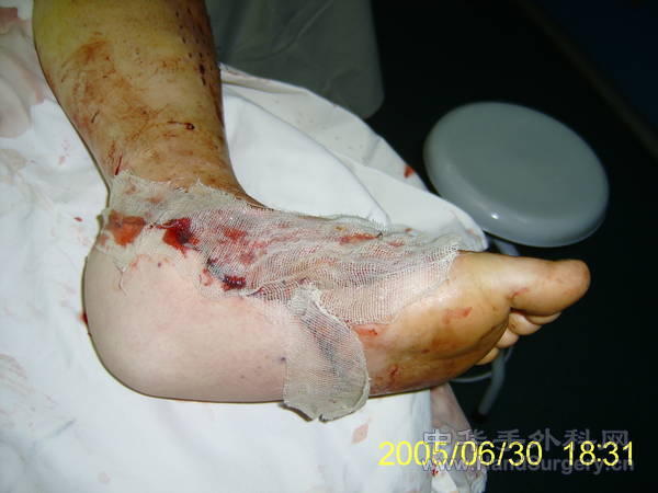 S5300173.JPG