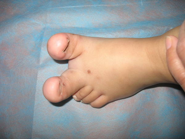 IMG_7553.JPG