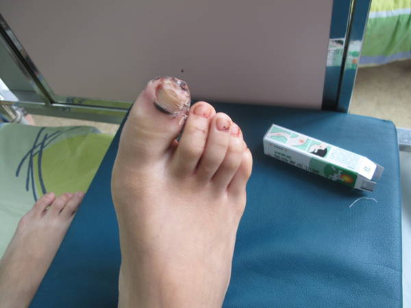 照片 156.jpg