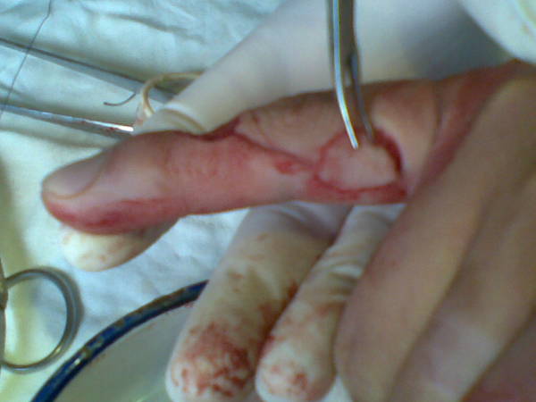 20110714_005.jpg