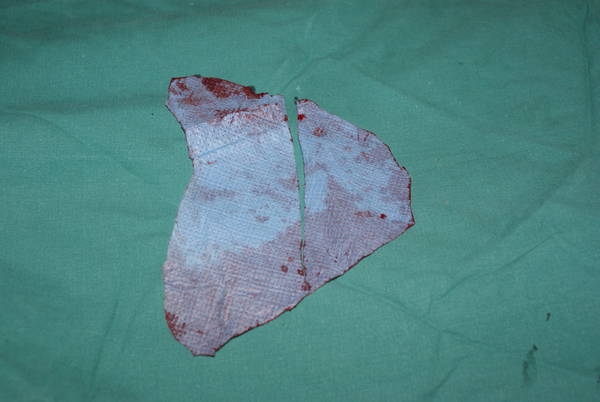 DSC07512.JPG