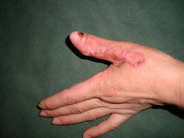 DSC08592.JPG