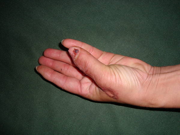 DSC08594.JPG