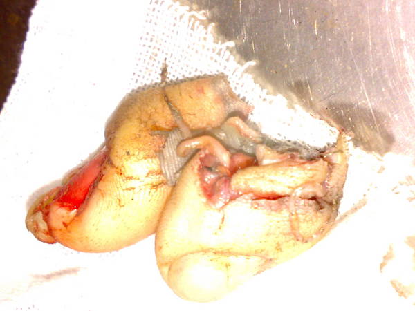 201102011879.jpg