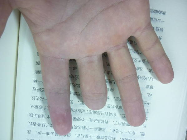 P1020536.JPG
