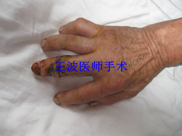 照片 005_副本.jpg