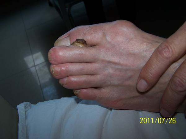 100_4502.JPG