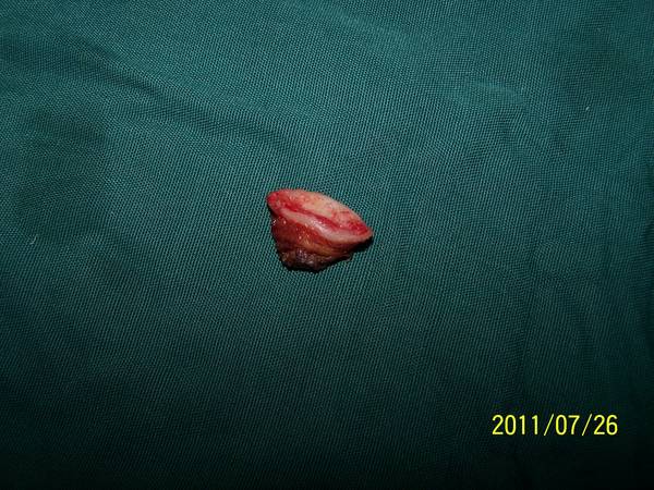 100_4512.JPG