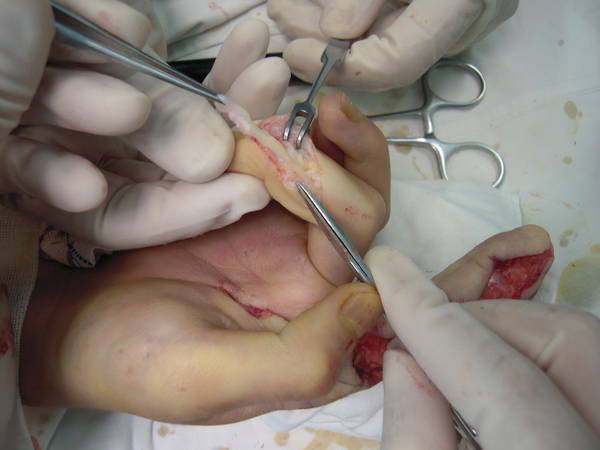 DSCN3975.JPG