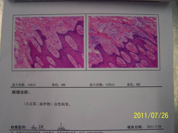 100_4519.JPG