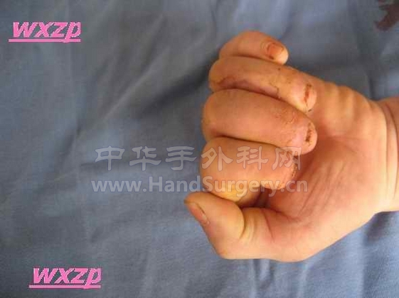 复件 IMG_0325.JPG