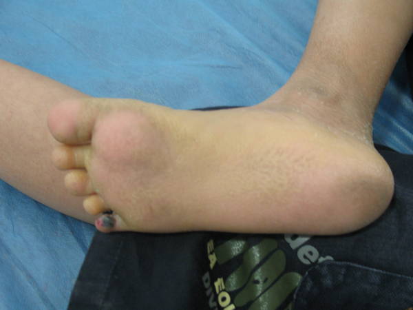 IMG_1502.JPG