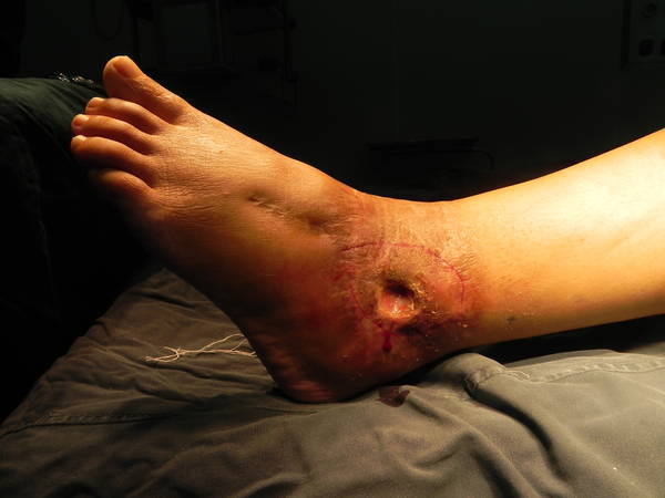 DSCN3974.JPG