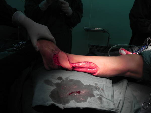 DSCN3976.JPG