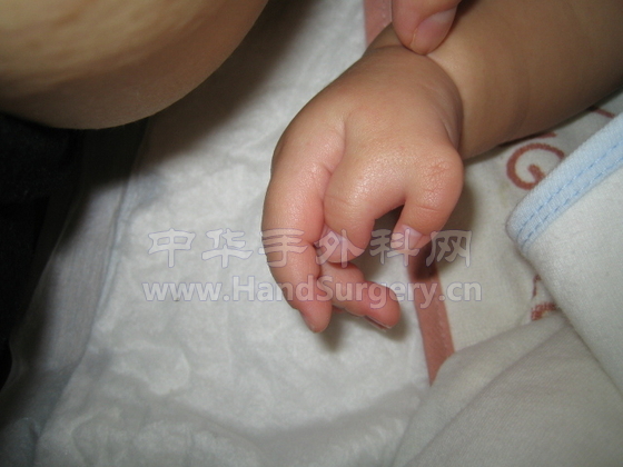 照片 263.jpg