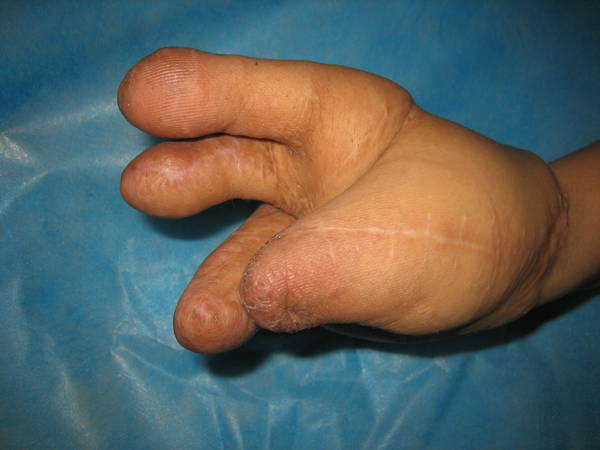 照片 278.jpg