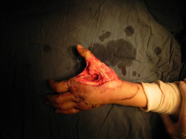 DSCN3815.JPG