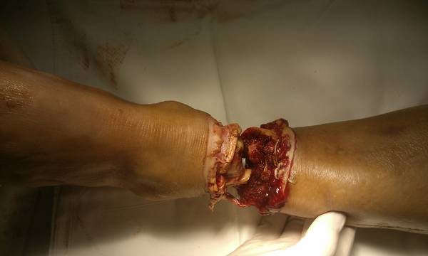 IMG_20110813_161818.jpg