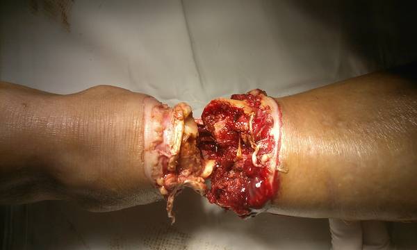 IMG_20110813_161836.jpg