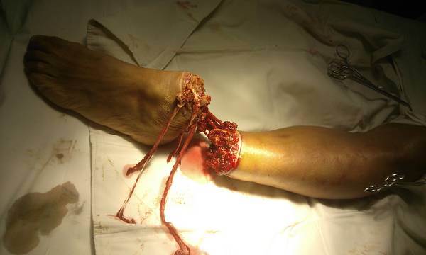 IMG_20110813_162021.jpg