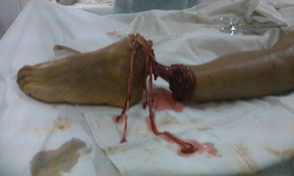 IMG_20110813_162059.jpg