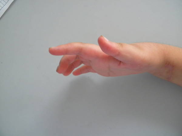 照片 005.jpg
