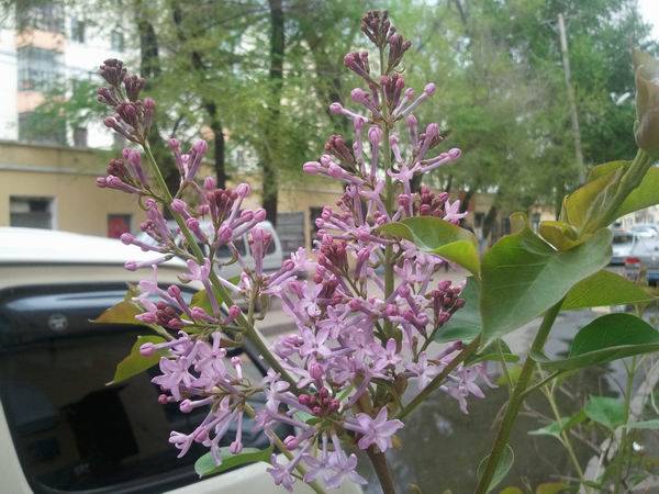 110520115003.jpg