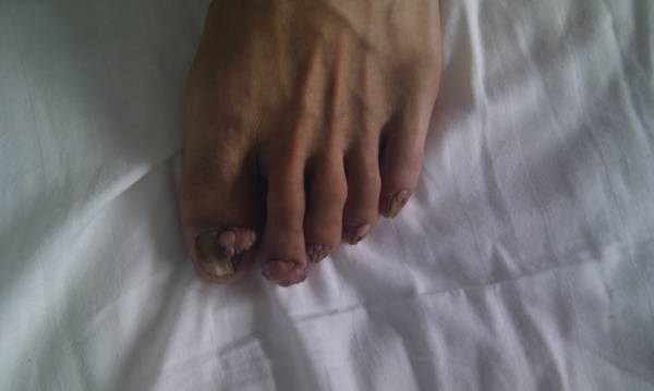 IMAG0132.jpg