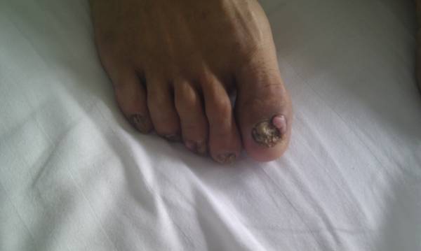 IMAG0134.jpg