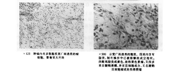 QQ截图20110902181207.png