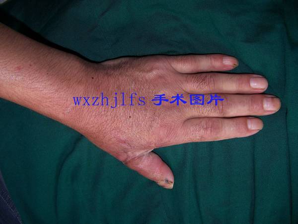 100_9721.JPG