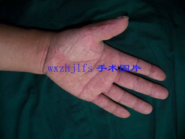100_9724.JPG
