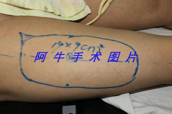 照片 100[1].jpg