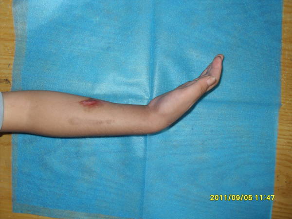 SDC10352.JPG