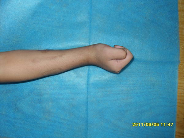 SDC10353.JPG