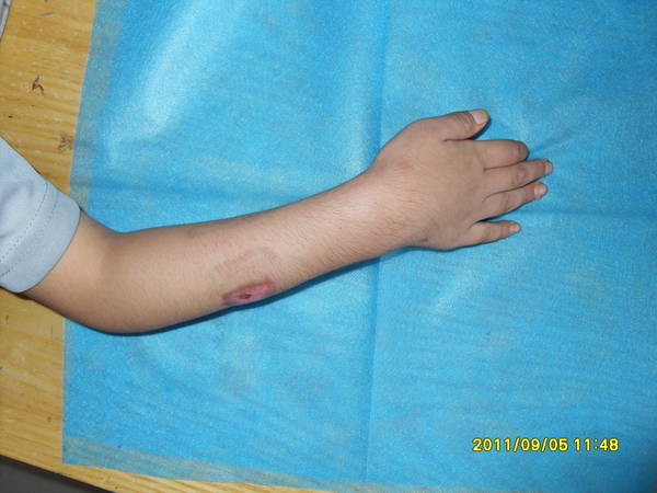 SDC10355.JPG