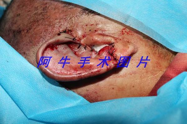 照片 140[1].jpg