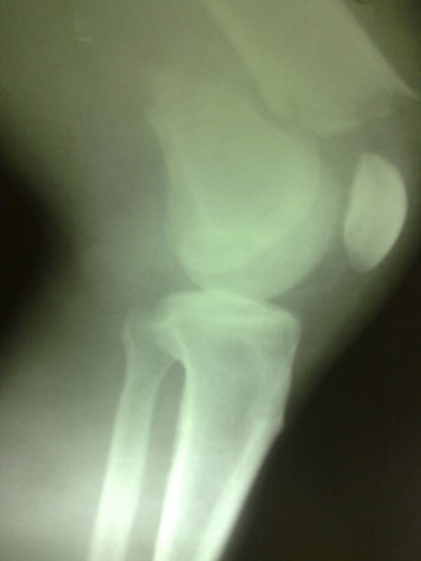 照片 159.jpg