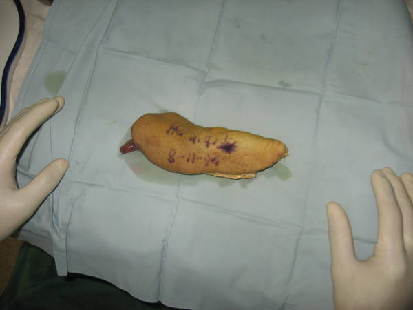 钟火明01.jpg