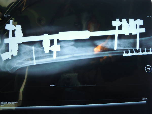 DSCN0186.JPG