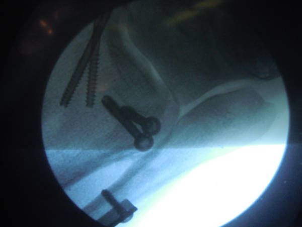DSCN8267.JPG