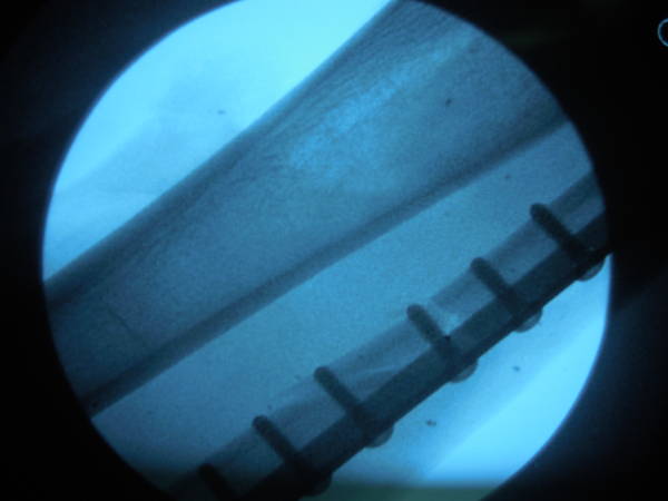 DSCN8272.JPG