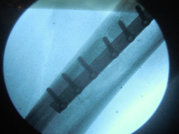 DSCN8307.JPG