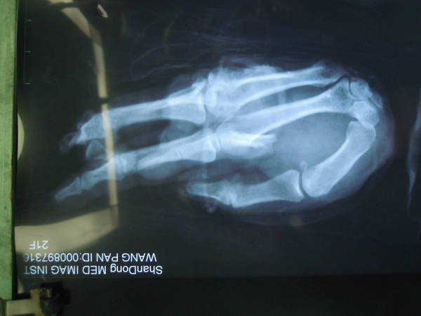 DSCN0411.JPG