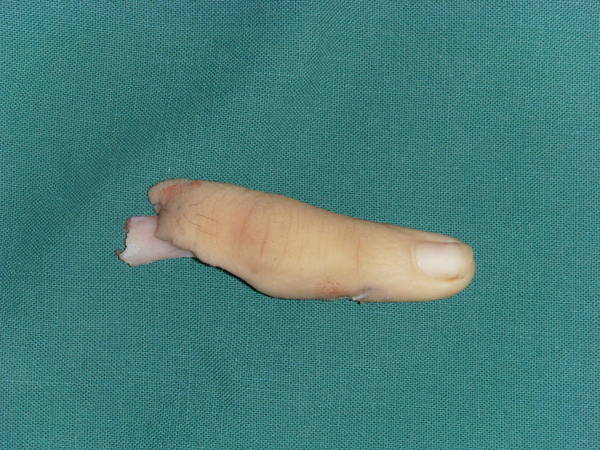 SI852127.JPG