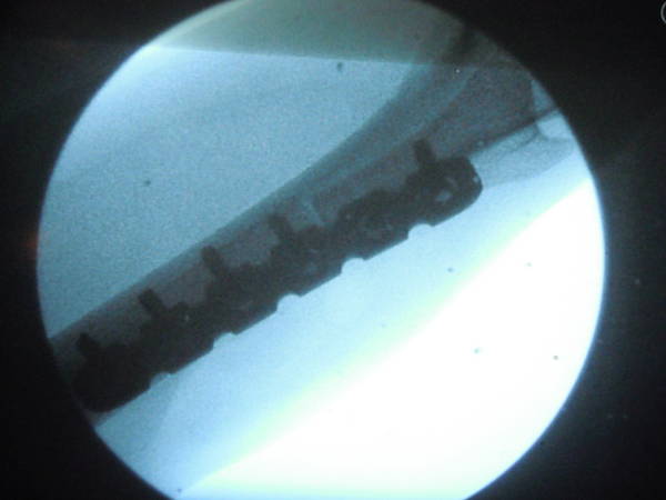 DSCN0598.JPG